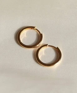 Astrid & Miyu Simple Hinge Small Hoops In Gold Best Sellers
