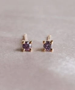 Astrid & Miyu February Birthstone Stud Earrings In Gold With Amethyst CZ