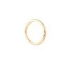 Astrid & Miyu Solid Gold Simple Piercing Hoop