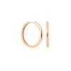 Astrid & Miyu Earrings Simple Hinge Small Hoops In Rose Gold