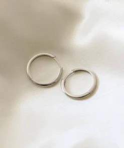 Astrid & Miyu Earrings Simple Hinge Small Hoops In Silver