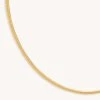 Astrid & Miyu Snake Chain Necklace In Gold Necklaces 2 Astrid & Miyu Snake Chain Necklace In Gold Necklaces