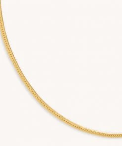 Astrid & Miyu Snake Chain Necklace In Gold Necklaces