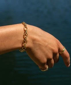 Astrid & Miyu Textured Oval Link T-Bar Bracelet In Gold