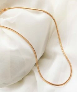 Astrid & Miyu Oval Snake Chain Necklace In Gold Necklaces