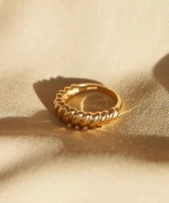 Astridandmiyu Rope Dome Ring In Gold