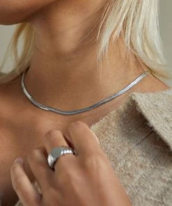 Astrid & Miyu Snake Chain Necklace In Silver Necklaces